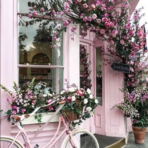 Meet your Posher, Michelle